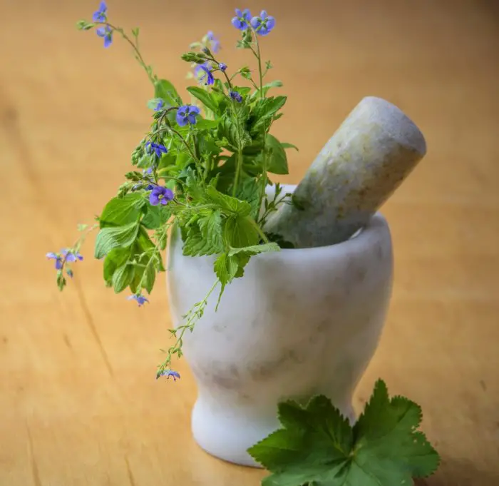 picture of a mortar and pestle being used to make natural sleeping aids from herbal plants