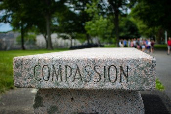 To keep politics is keeping you awake at night, practice compassion stone with the word compassion written on it