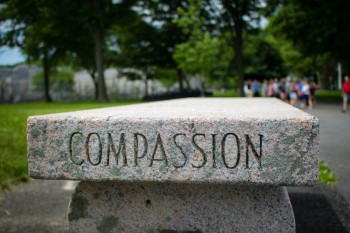 stone with the word compassion written on it 