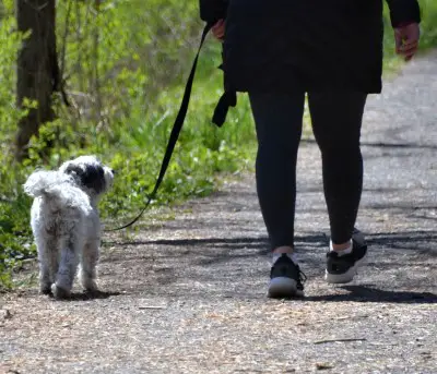 photo of lady walking which is a natural remedy like acupuncture for sleep apnea