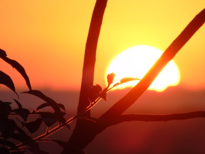 Wake up more naturally with new special wake up alarms photo of sun rising