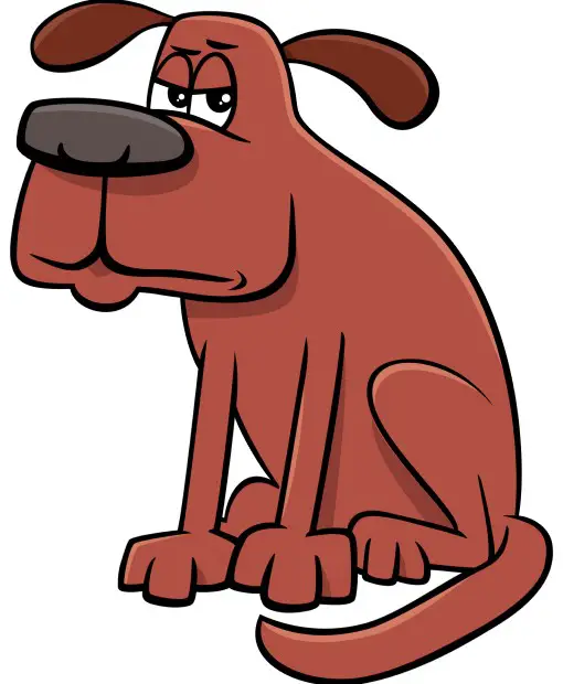 CBD keeping a dog awake can lead to behavioral issues cartoon drawing of grumpy dog because CBD is keeping it awake