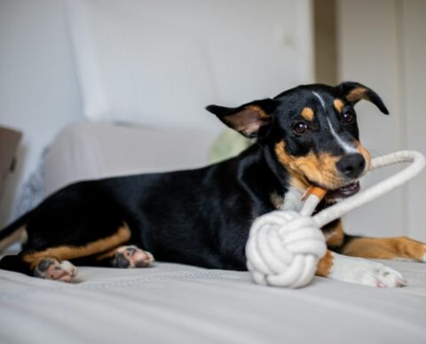 Visual Reference: 10 Ways To Quickly Relieve Stress And Anxiety Before Bed