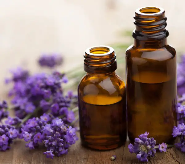 photo of lavender oil which may help with stress and anxiety before bed