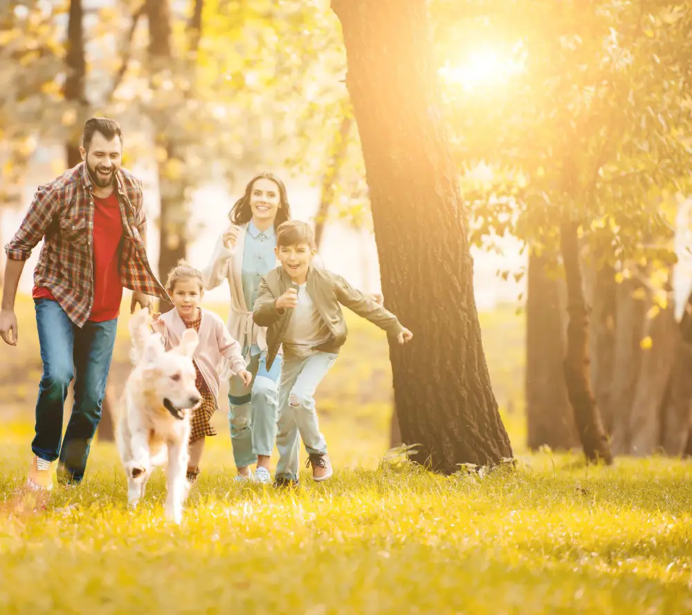 family walking in woods getting sun exposure